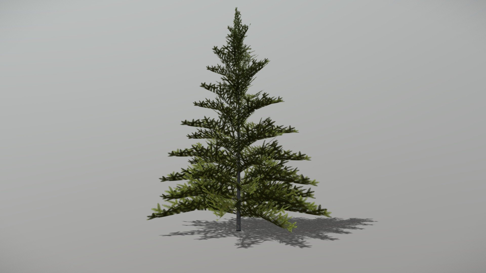 Animated Fir tree + FBX LOD Model

• LOD0 = 732 Tris

• LOD1 = 146 Tris
 - Fir 1 (Animated Tree) - Buy Royalty Free 3D model by bsp 3d model