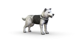 Low Poly White and Black Funny Dog mouth, dog, white, vest, pet, mammal, feet, hound, fur, doggy, collar, ussr, jaws, canine, shepherd, game-ready, dogs, swiss, wicked, game-asset, grin, greyhound, sssr, rottweiler, canines, pedigreed, belka, mastiff, paws, purebred, vicious, sheepdog, cartoon, game, lowpoly, gameasset, creature, animal, black, "gameready", "fightingdog"