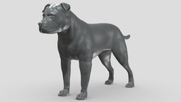 English Staffordshire V3 3D print model stl, dog, pet, animals, figurine, 3dprinting, doge, 3dprint, dogstl, stldog