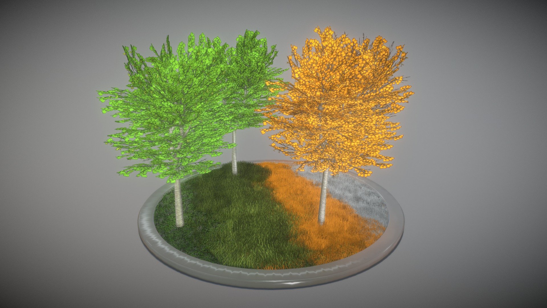 Here are some 6-meter-high tilia trees in four seasons 3d model