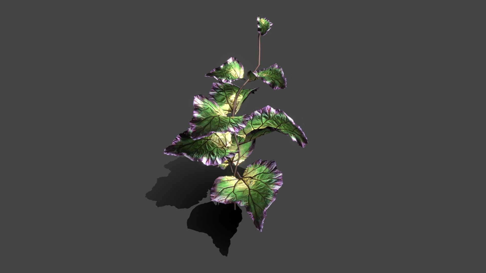 Low-poly Tropical plant. Created with 3Ds max2018. Export in FBX. Model have diffuse, opacity, normal texture maps - Plant tropic - 3D model by Ybreibyf 3d model