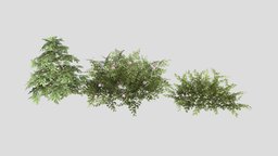 Shrubs tree, plant, grass, photorealistic, vr, ar, vegetation, trunk, realistic, game-ready, optimized, unreal-engine, game-asset, game-model, low-poly-model, shrubs, game-engine, unity, low-poly