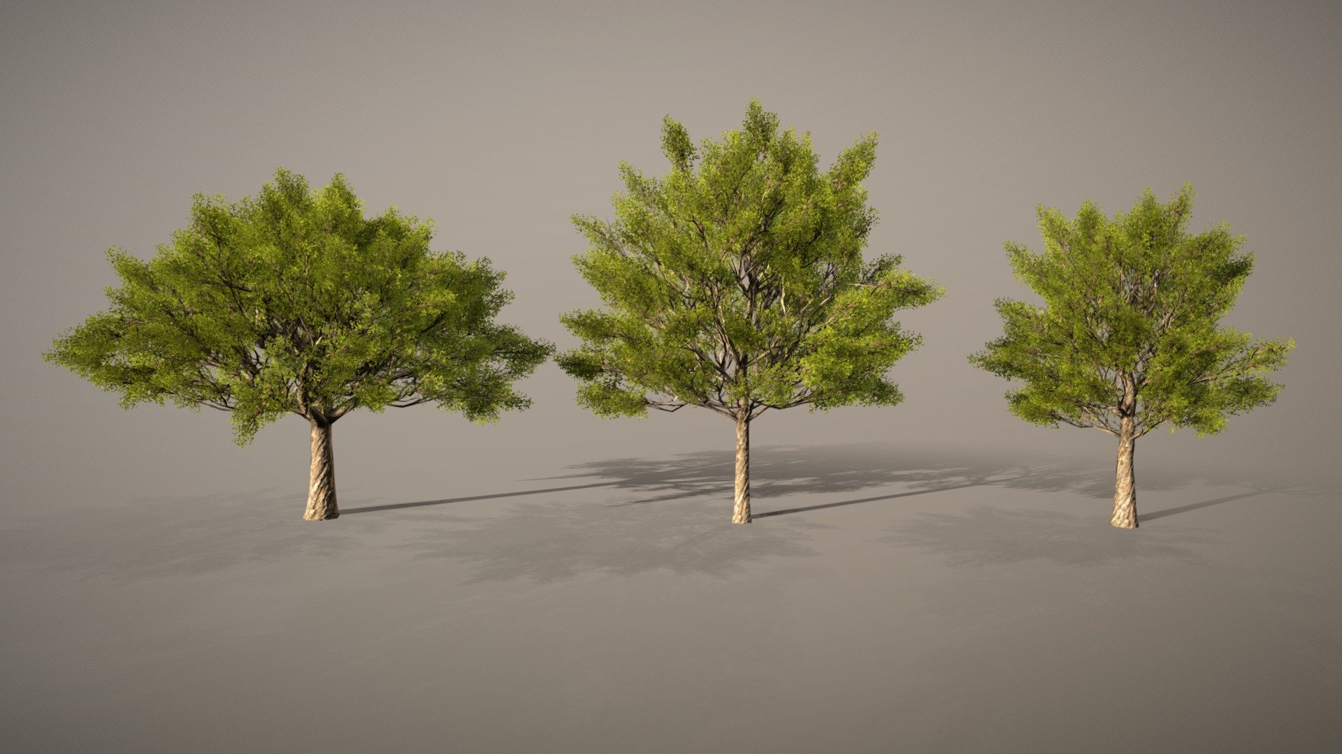 low poly tree created in Speedtree - Tree Animate - Download Free 3D model by TechArtBGN 3d model