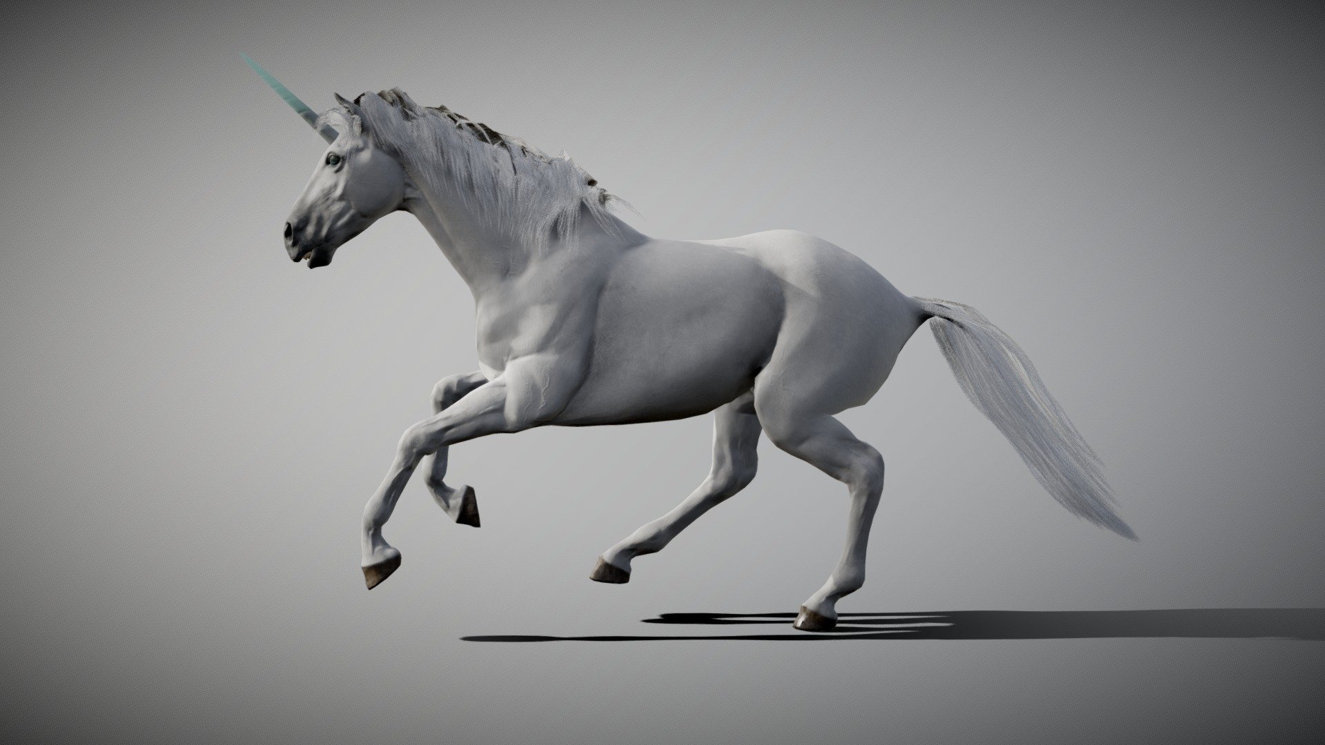 Unicorn, created in Blender, Zbrush Core and Substance Painter original blender file in the Zip folder uploaded!

Textures 4096x4096:* - body: albedo, roughness, Ambient occlusion, normal, - eyes and teeth: albedo, roughness, Ambient occlusion, normal, opacity - mane and tail: color node, normal and opacity, -horn: albedo, roughness, Ambient occlusion, normal, emissive

In the NLA editor there are 3 option: - walk cycle - run cycle - Unicorn - Buy Royalty Free 3D model by creatureFab (@3dCoast) 3d model