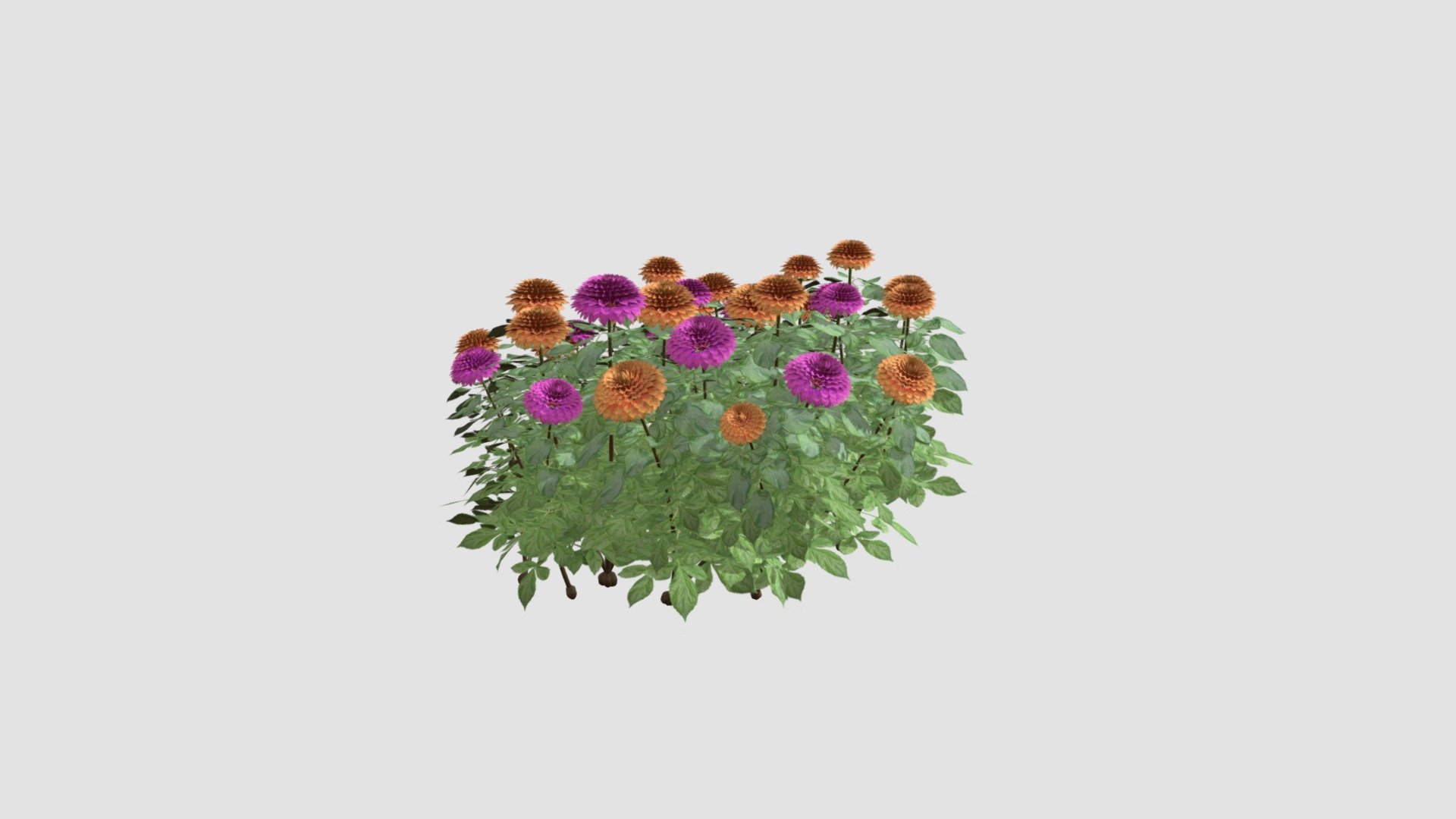 Highly detailed model of plant with all textures, shaders and materials. It is ready to use, just put it into your scene 3d model