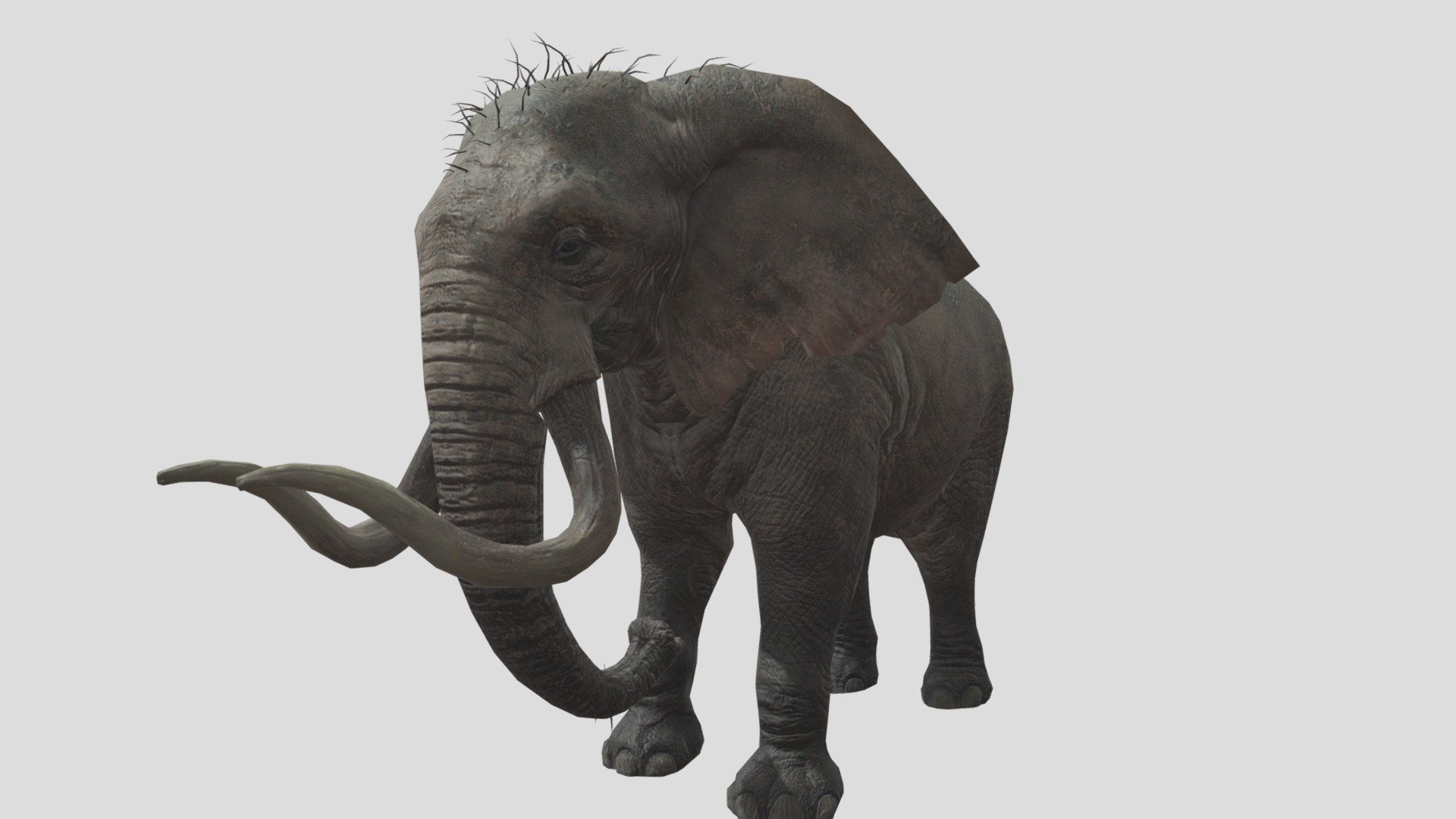 Elephant animation - Download Free 3D model by dinomaster 3d model
