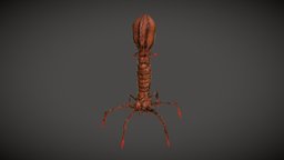 Bacteriophage Virus [4K]