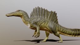 Spinosaurus spinosaurus, cretaceous, dinosaurus, dinosaur, dino