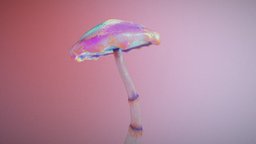 Alien Mushroom mushroom, foliage, shroom, trippy, colorful, psychedelic, woah, substancepainter, substance, maya, zbrush, environment