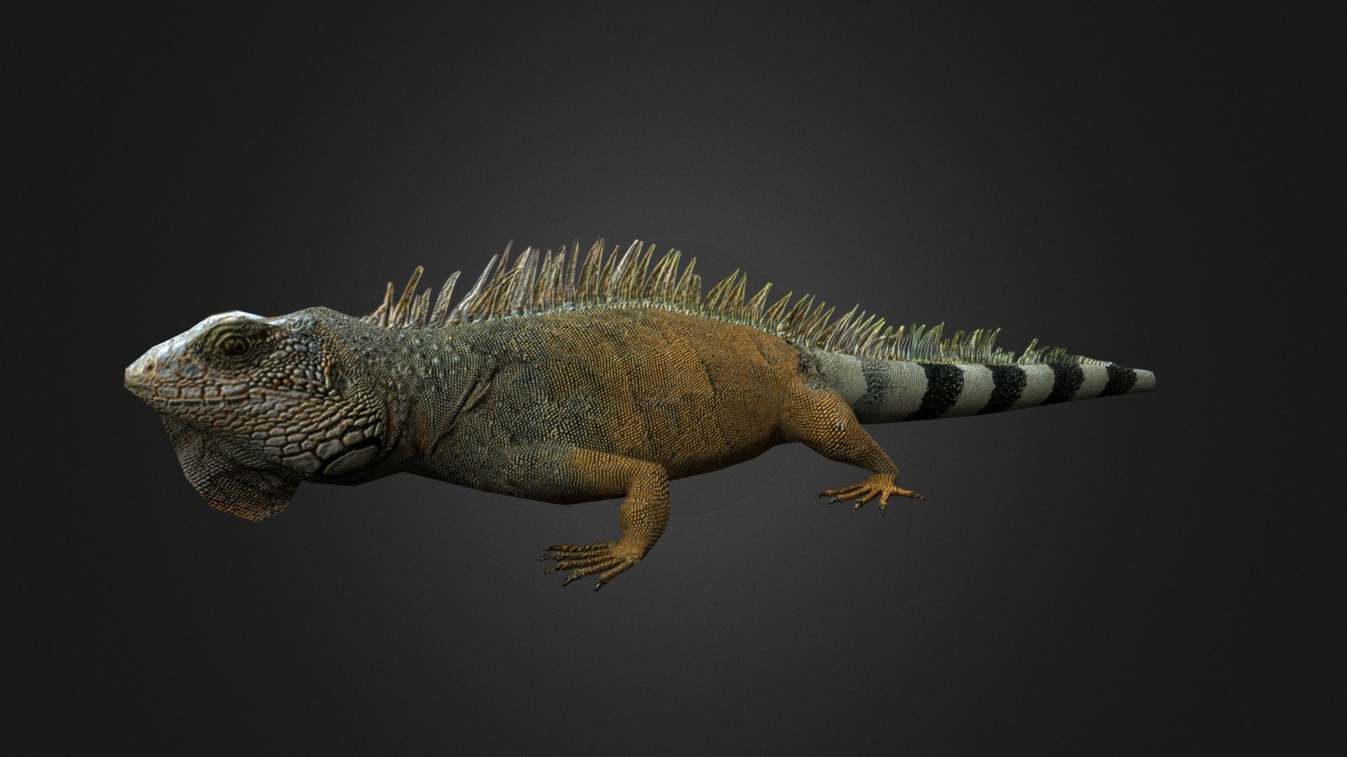 Iguana - Buy Royalty Free 3D model by Ondřej Vališ (@throy) 3d model