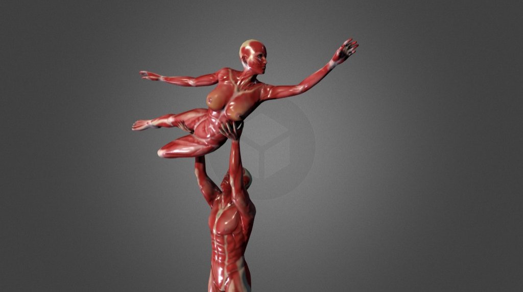 Female and male anatomy in dancing pose 3d model