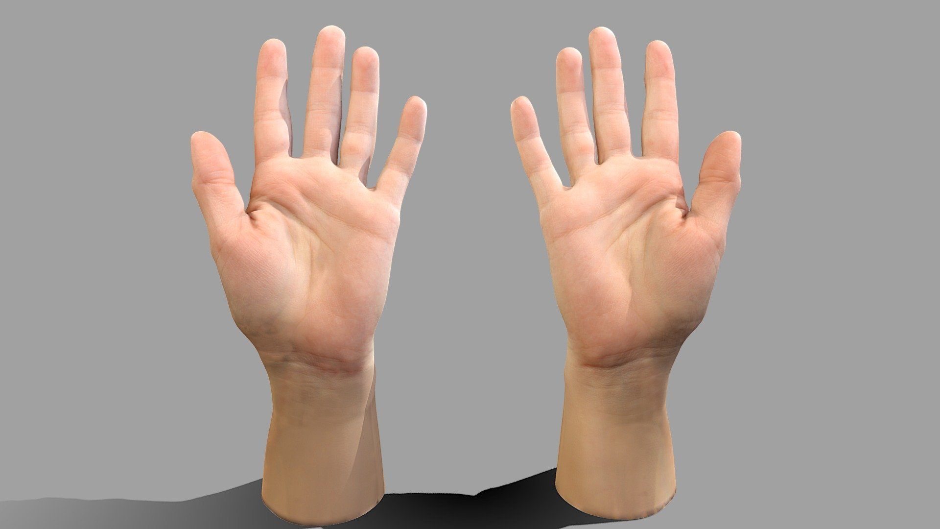 Pair of 40 years old female hands.

Model includes 8k diffuse map, 4k normal, 4k AO map

Processed with Metashape + Blender + Wrap3 - Female hands open - Buy Royalty Free 3D model by Lassi Kaukonen (@thesidekick) 3d model