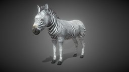 Lowpoly Zebra Animated for VR AR Games animals, mammal, vr, ar, zebra, realistic, game, lowpoly, horse, animal, animated