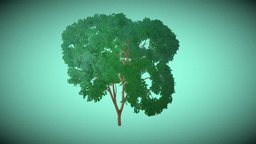 Stylized Tree tree, plants, nature, cartoon, stylized
