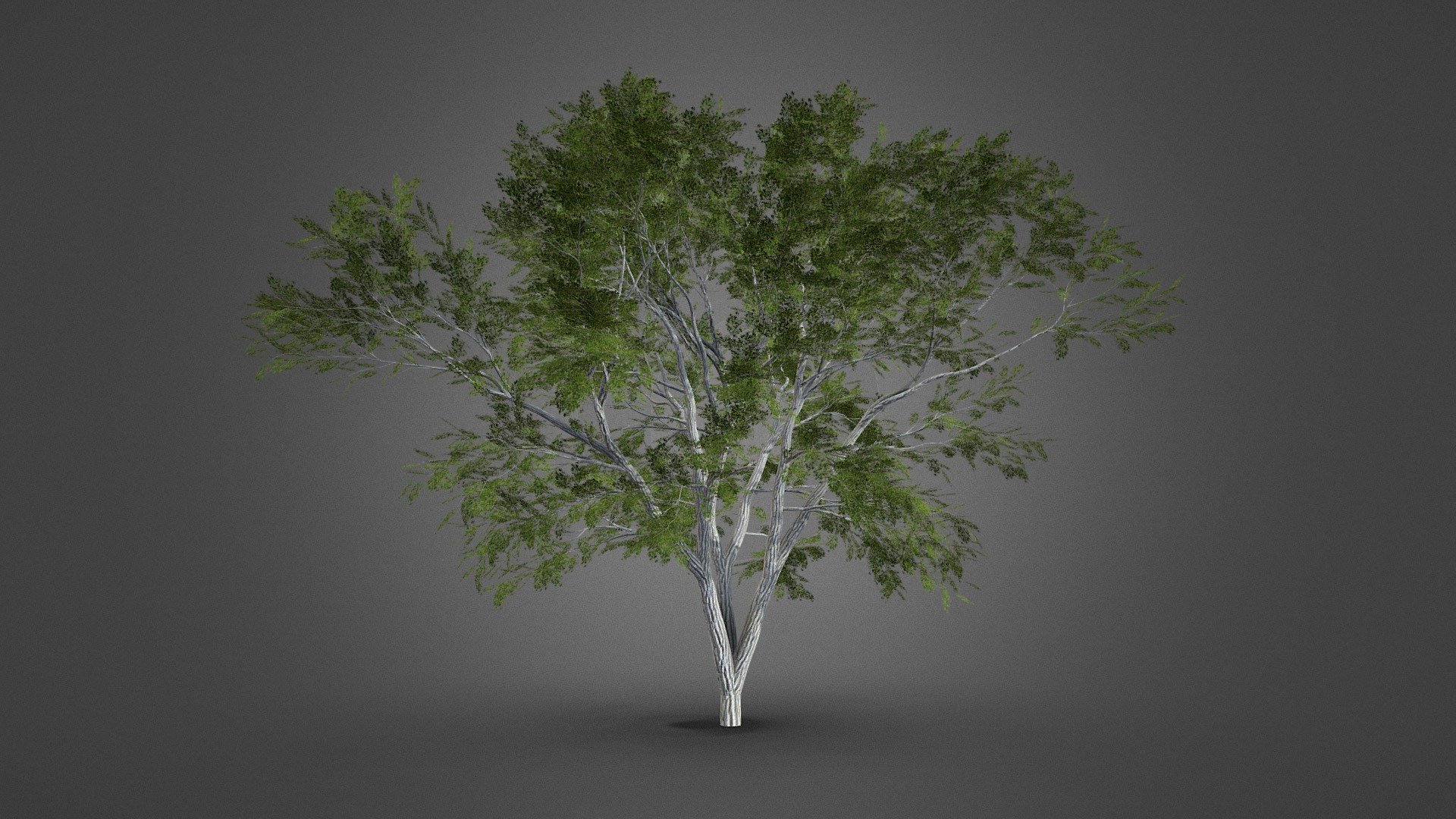 This model is made with blender. It is free to download, you can use it in your projects 3d model