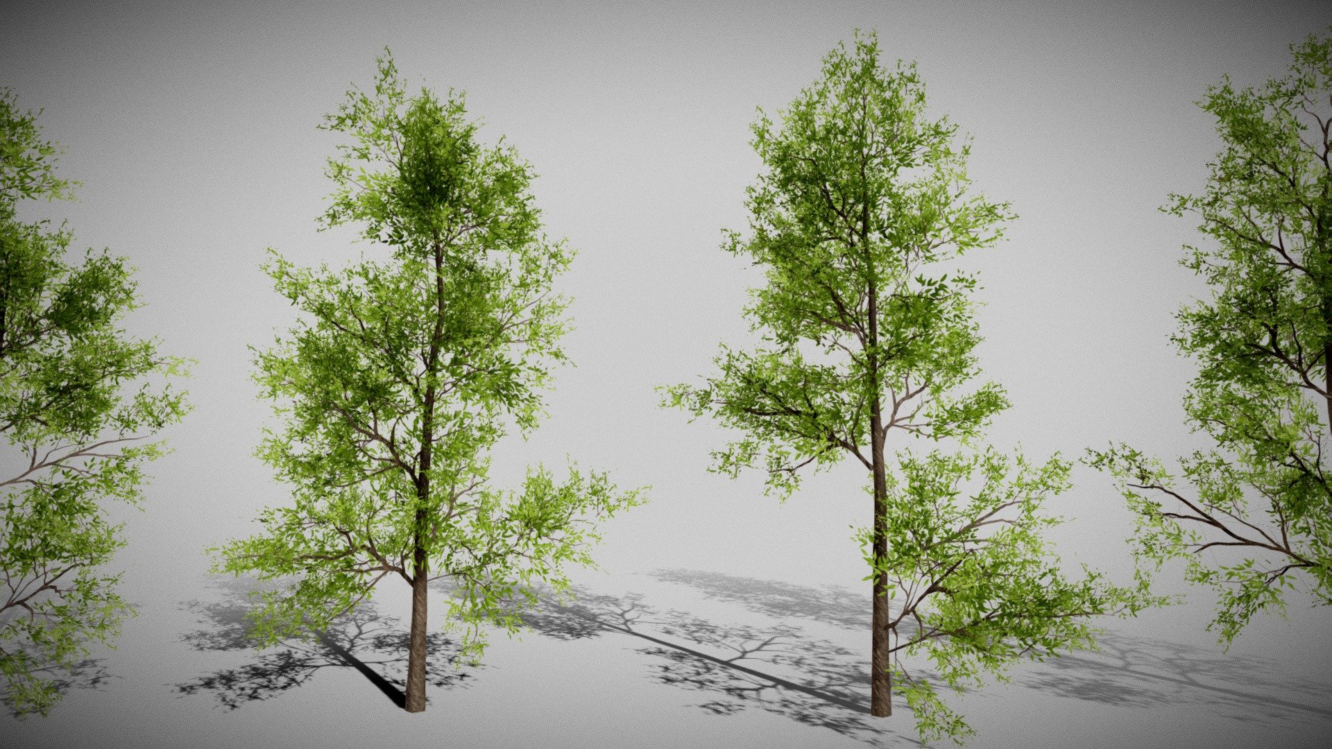 Introducing a versatile 3D Tree Model Pack with various variations for diverse landscapes. Features high-quality 4K textures, optimized for efficiency with a poly count under 2000.






FBX files included for seamless integration. 

Single Material is Used for Optimization

Elevate your projects with realistic and performance-driven trees.


Thank You! - Realistic Low-poly Trees Pack - Buy Royalty Free 3D model by Nicholas-3D (@Nicholas01) 3d model