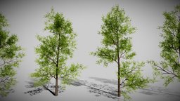 Realistic Low-poly Trees Pack