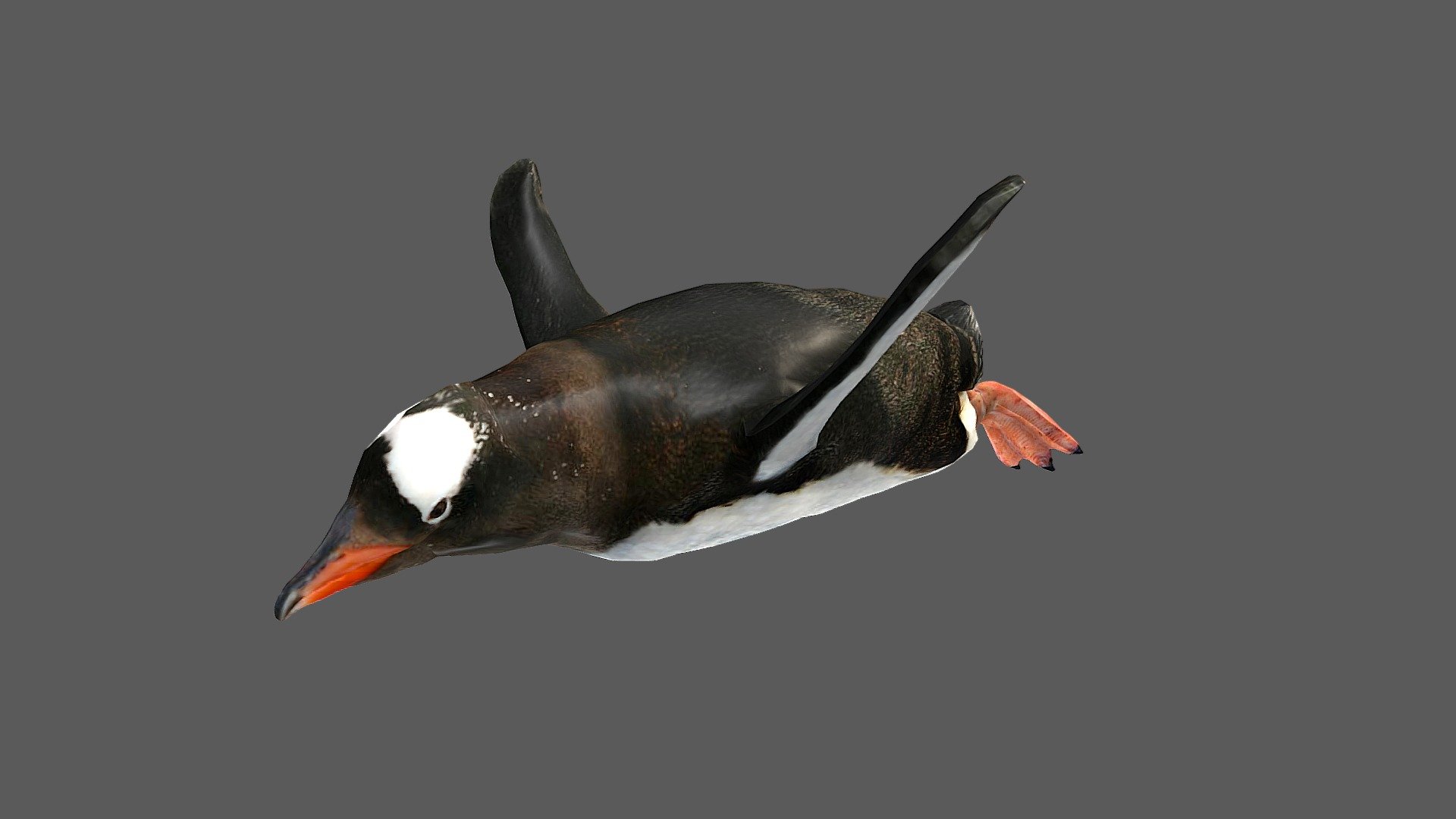 Penguin - 3D model by josluat91 3d model