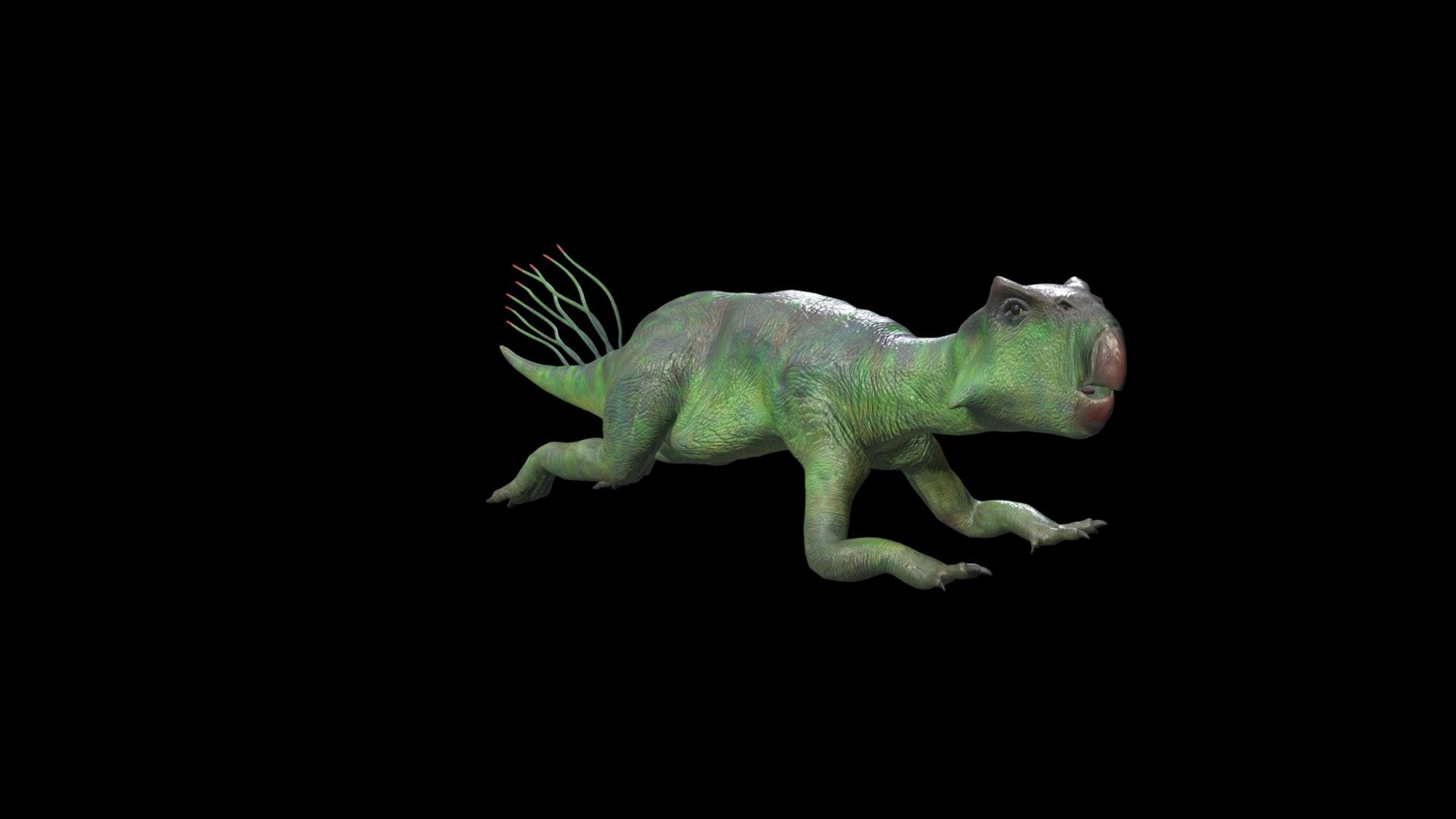 Project for the Exhitbition of Legends of the Giant Dinosaurs in Hong Kong Science Museum 2013-2014.
Psittacosaurus is a genus of extinct ceratopsian dinosaur from the Early Cretaceous of what is now Asia, existing between 123.2 and 100 million years ago 3d model