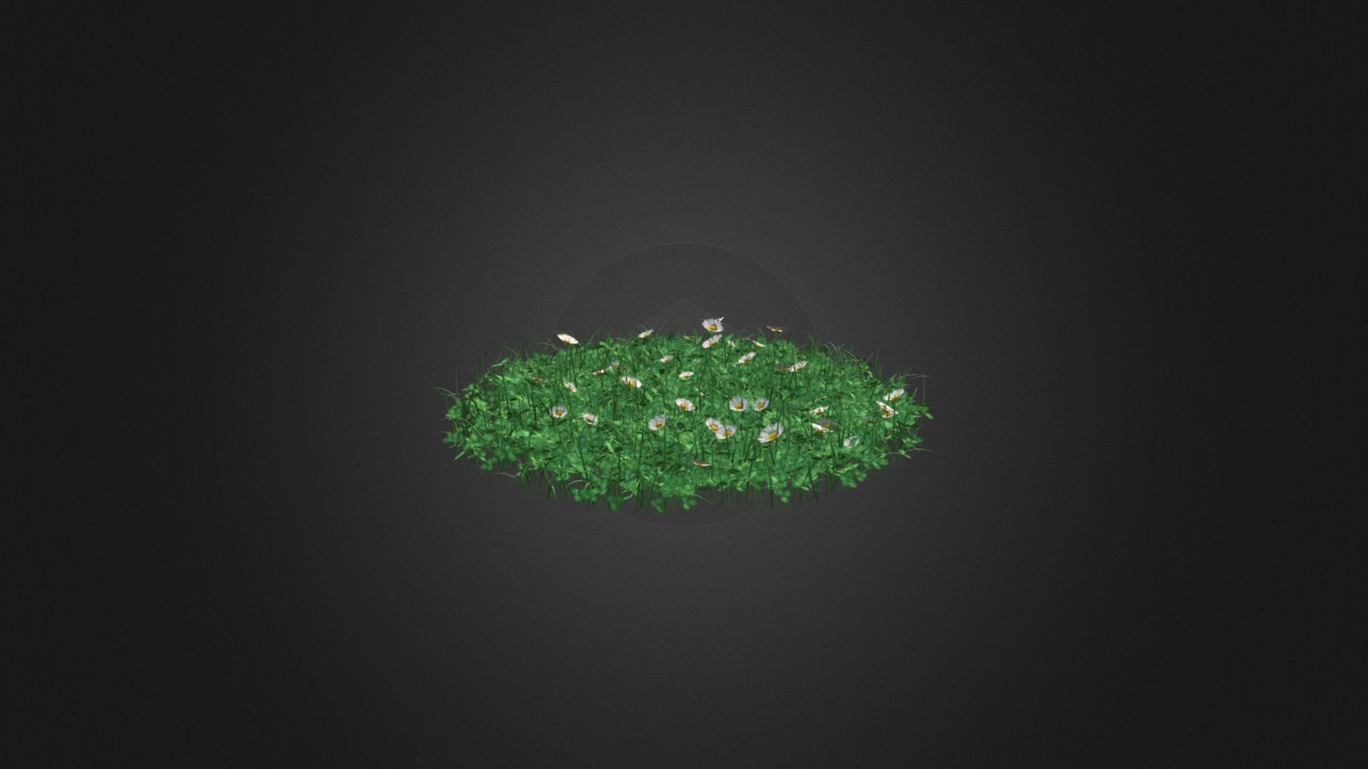 Round shaped grass with some clover and daisy (Bellis perennis) flowers 3d model. Diameter: 100cm. Compatible with 3ds max 2010 or higher, Cinema 4D and many more 3d model