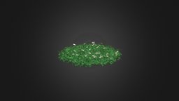 Grass with Clover and Daises 3D Model plant, field, forest, grass, flower, element, shape, ground, wild, clover, herb, round, daisy, daisies, bellis, perennis