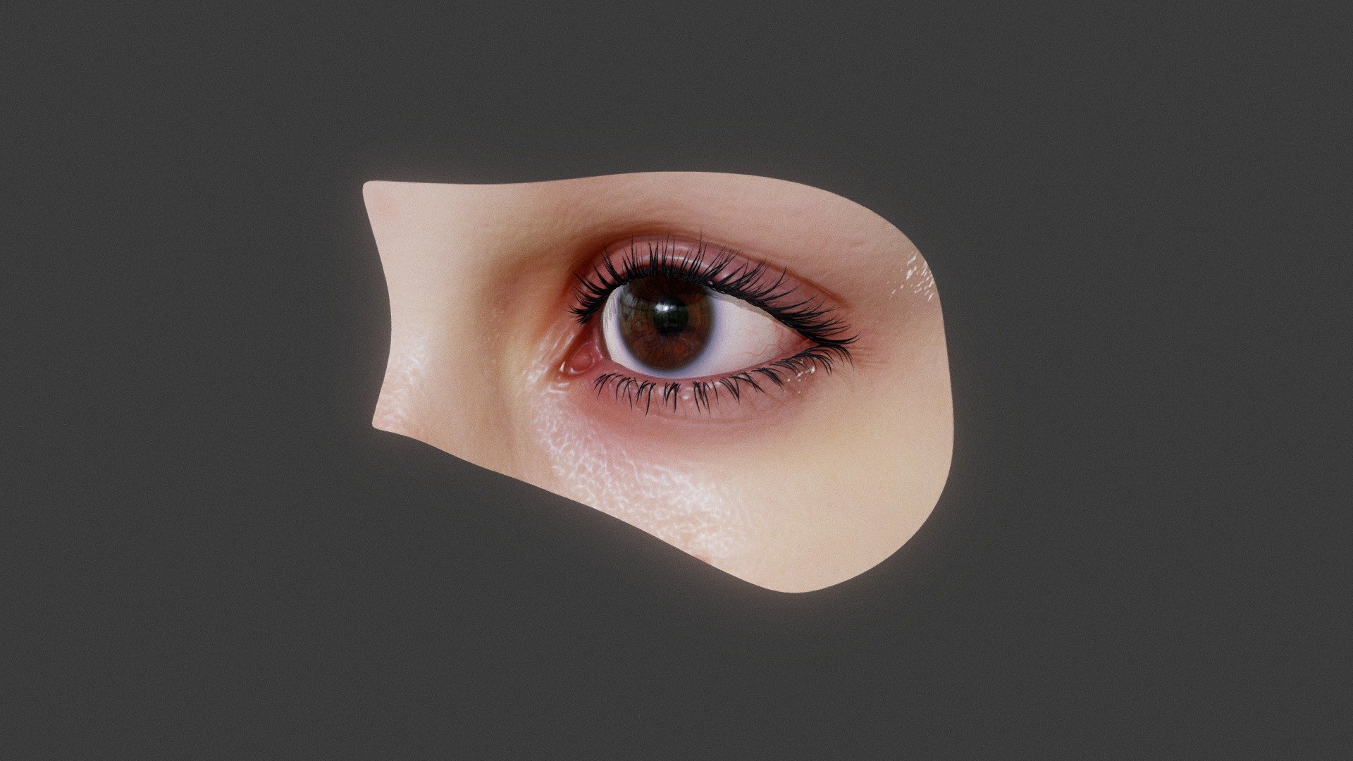 Realistic human eye made in Blender 2.90 - Eye (2021) - 3D model by Jim Morren (@journeyman) 3d model