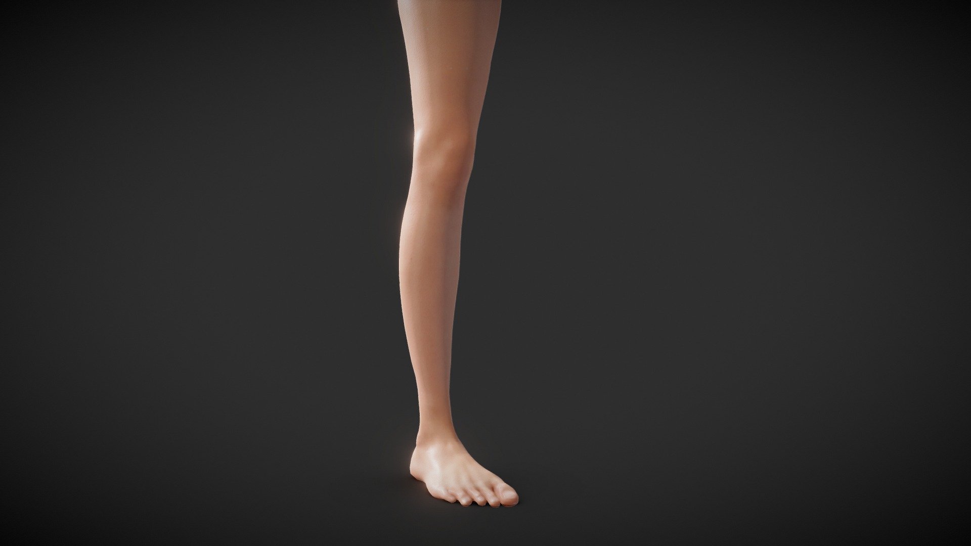 Full Female Body parts pack  is available here - https://skfb.ly/o8YnD

Male Version - https://skfb.ly/o8XW9

A Fit Female Anatomical Leg and Foot with Basic Textures.
Perfect for simulating tattoos and use in Procreate 3D

For Procreate Make sure to download and use the USDZ file if you want to automatically load the model with color texture, otherwise use the OBJ - Fit Female Anatomy - Leg and Foot base mesh - Buy Royalty Free 3D model by Deftroy 3d model