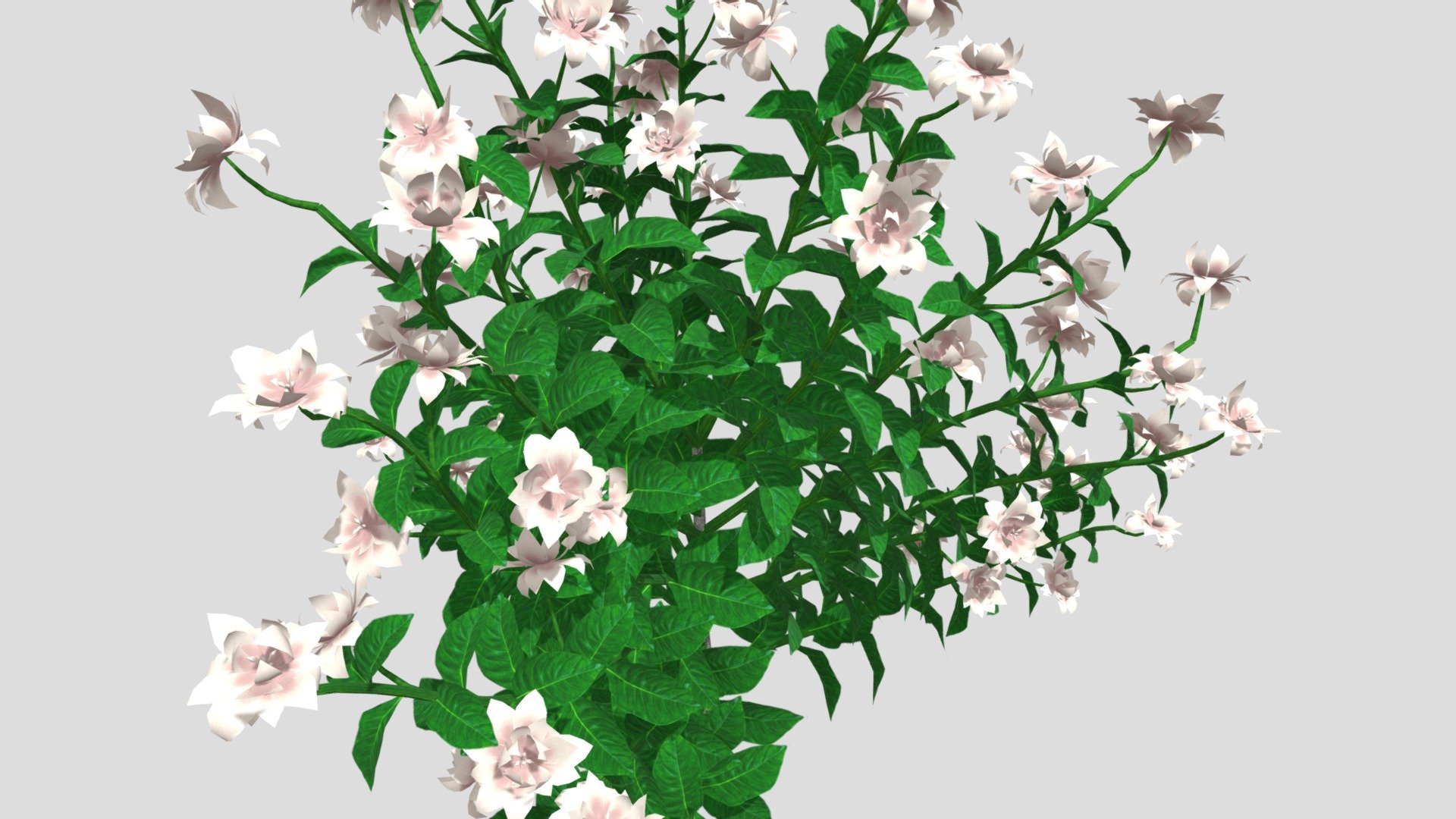 Gardenia Flower 3d model, File formats in the attached folder: 3ds, c4d, obj, stl 3d model