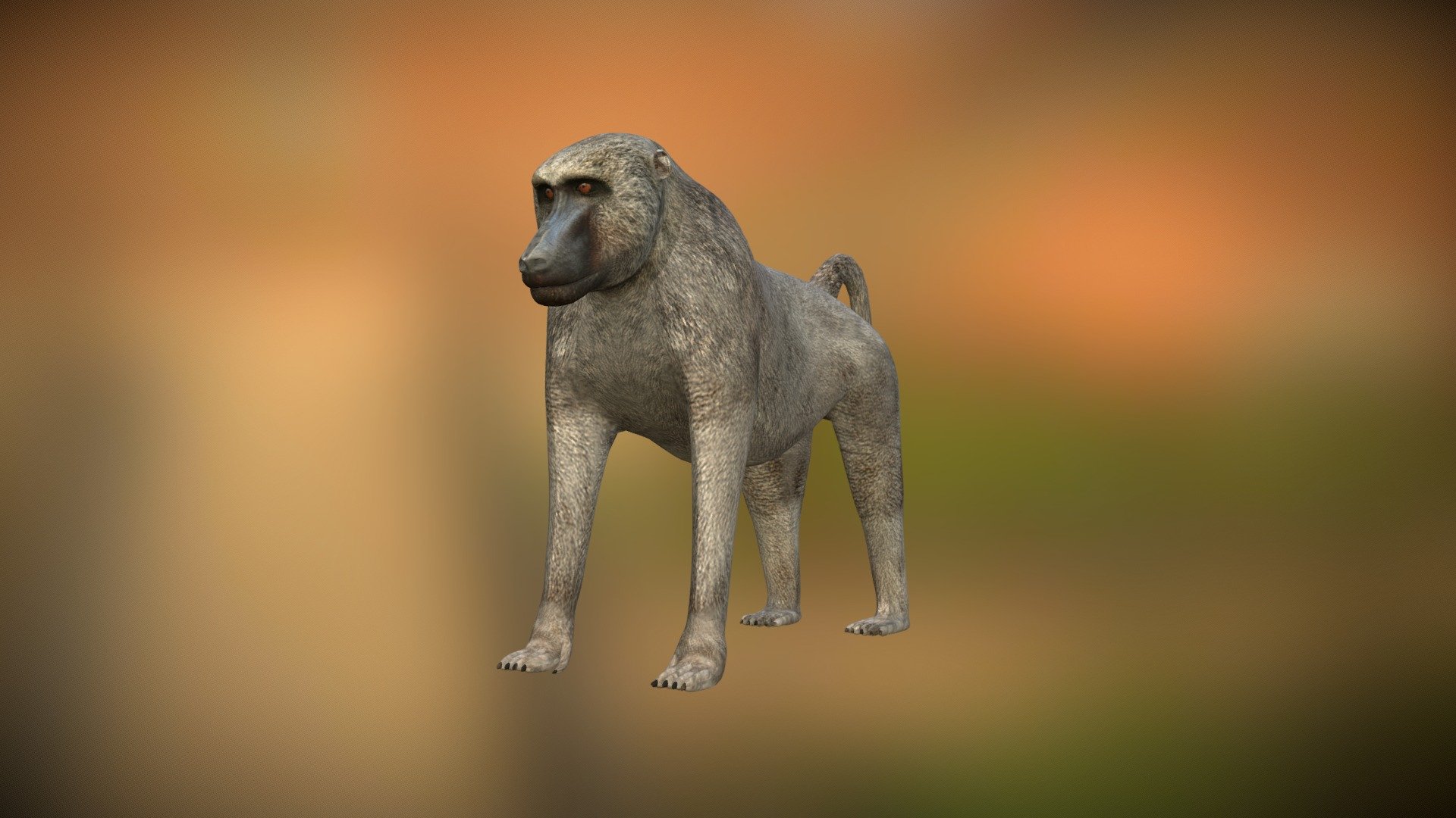 Baboon model (monkey). Mid poly model - 18000 triangles. One diffuse texture, size 1024 px 3d model