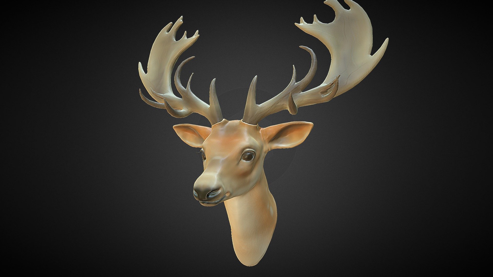 Sculpted in Zbrush 3d model