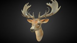 Deer Bust deer, stag, nature, antler