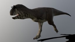 Low Poly Carnotaurus + Sprint Animation paleontology, dinosaurs, cretaceous, carnotaurus, lowpolymodel, animated-character, abelisaurid, lowpoly, animated