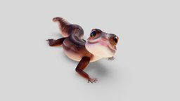 Fat Tailed Gecko cute, pet, lizard, fat, brown, reptile, gecko, animal, rigged