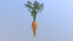 Carrot substance-designer, unreal-engine, maya, zbrush