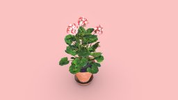 Geranium Flower | Game Asset plant, unreal, foliage, game-ready, vr-ready, geranium, unity, pbr, lowpoly, substance-painter, noai