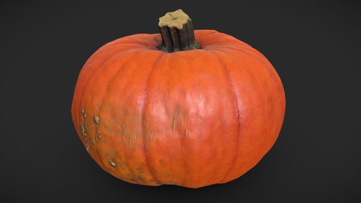 Pumpkin | PBR Photogrammetry fall, gourd, autumn, october, photogrammetry, pbr, halloween, pumpkin