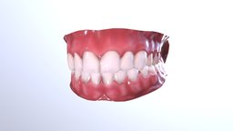 Mouth Teeth for Game Character Low-poly mouth, anatomy, teeth, tongue, dental, eat, jaw, tooth, head, gums, gum, molar, character, game, texture, pbr, lowpoly, interior, gameready, besemesh
