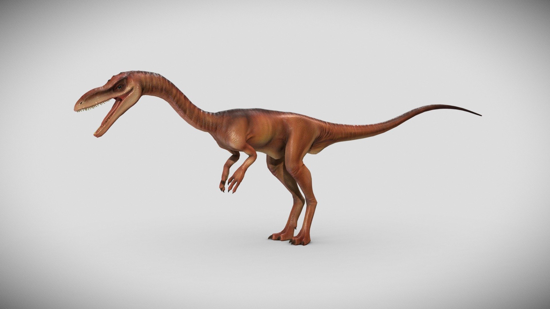 A Coelophysis model with textures. Model can be subdivided if high-poly is needed.

Color, Specular/Gloss, Occlusion, Cavity, and Displacement maps are 4096.

Normal Map is 8192.

Collada, FBX, and OBJ formats included 3d model
