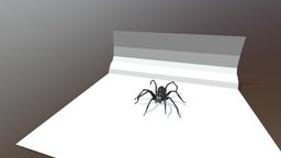 Spider-08 rig and animation pint 