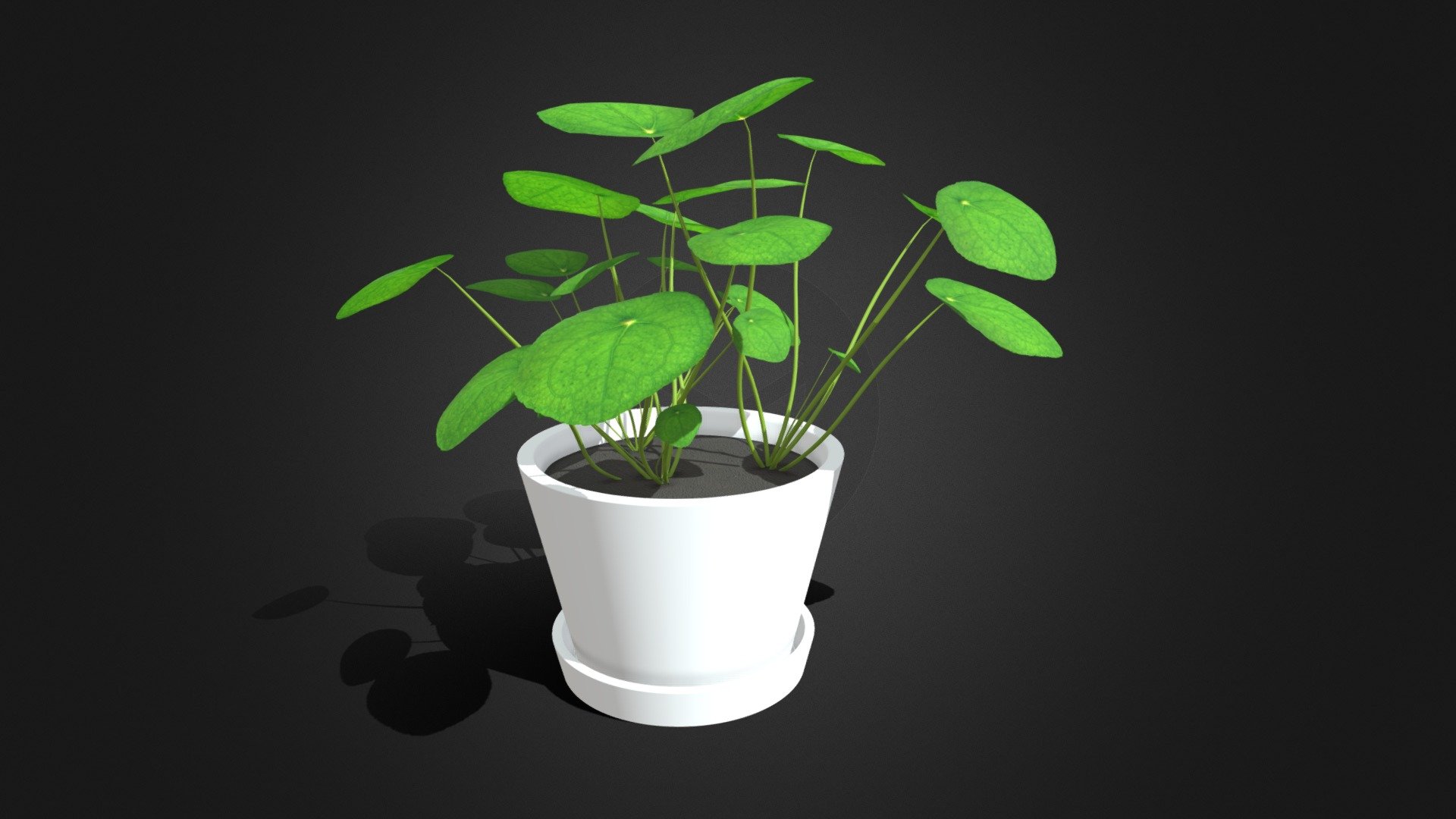 For all of your plant prop needs for populating your scene.  Created with 3DS Max and arnold.  Please msg for any custom orders. 

Thank you! - Potted Pilea Plant Prop - Buy Royalty Free 3D model by Mr. Adams (@UncleAcid82) 3d model