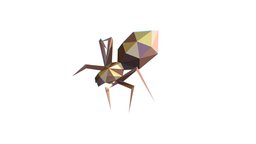 Animated Spider LowPoly Art Insect