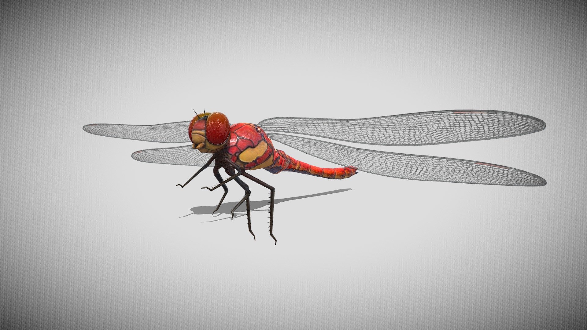 This is a 3d DragonFly with PBR textures and 15 different animations. Efficiently modeled with only 3910 triangles 3d model