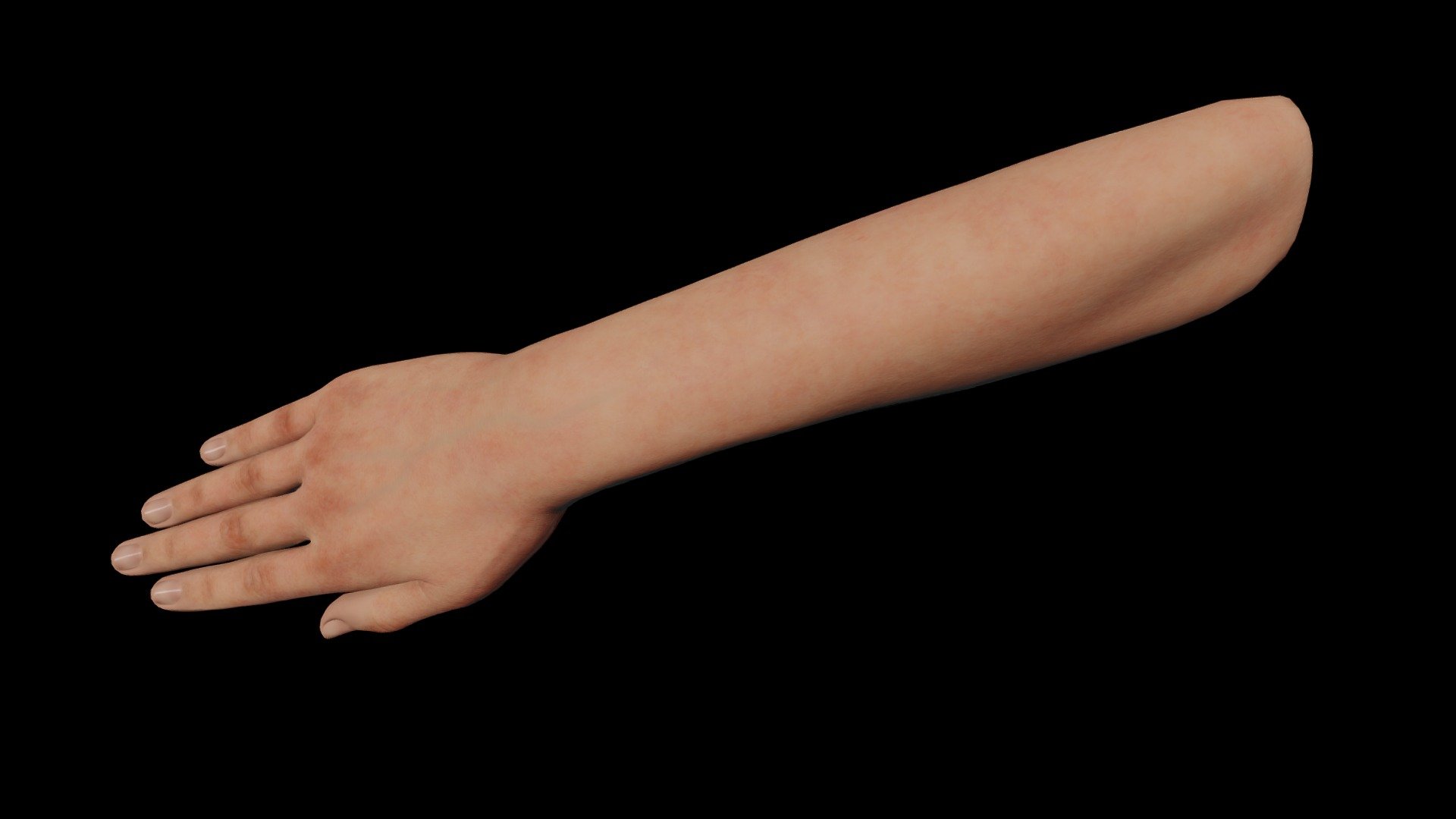 Human right hand 3D model made in Blender 3.2 3d model