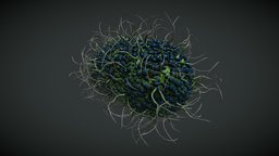 Bacteria Cell [4K]