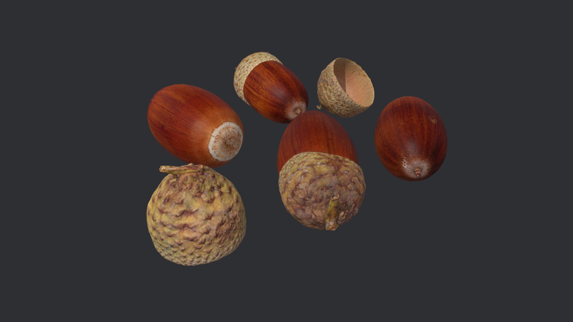 Four individual photogrammetry models of acorns with separate cupules.

All models retopologized/optimized into quads with clean UVs.

Each model has it’s own 4K PNG Diffuse, Normal and Roughness textures (cuples have Diffuse and Normal textures only).

Real world scale 3d model