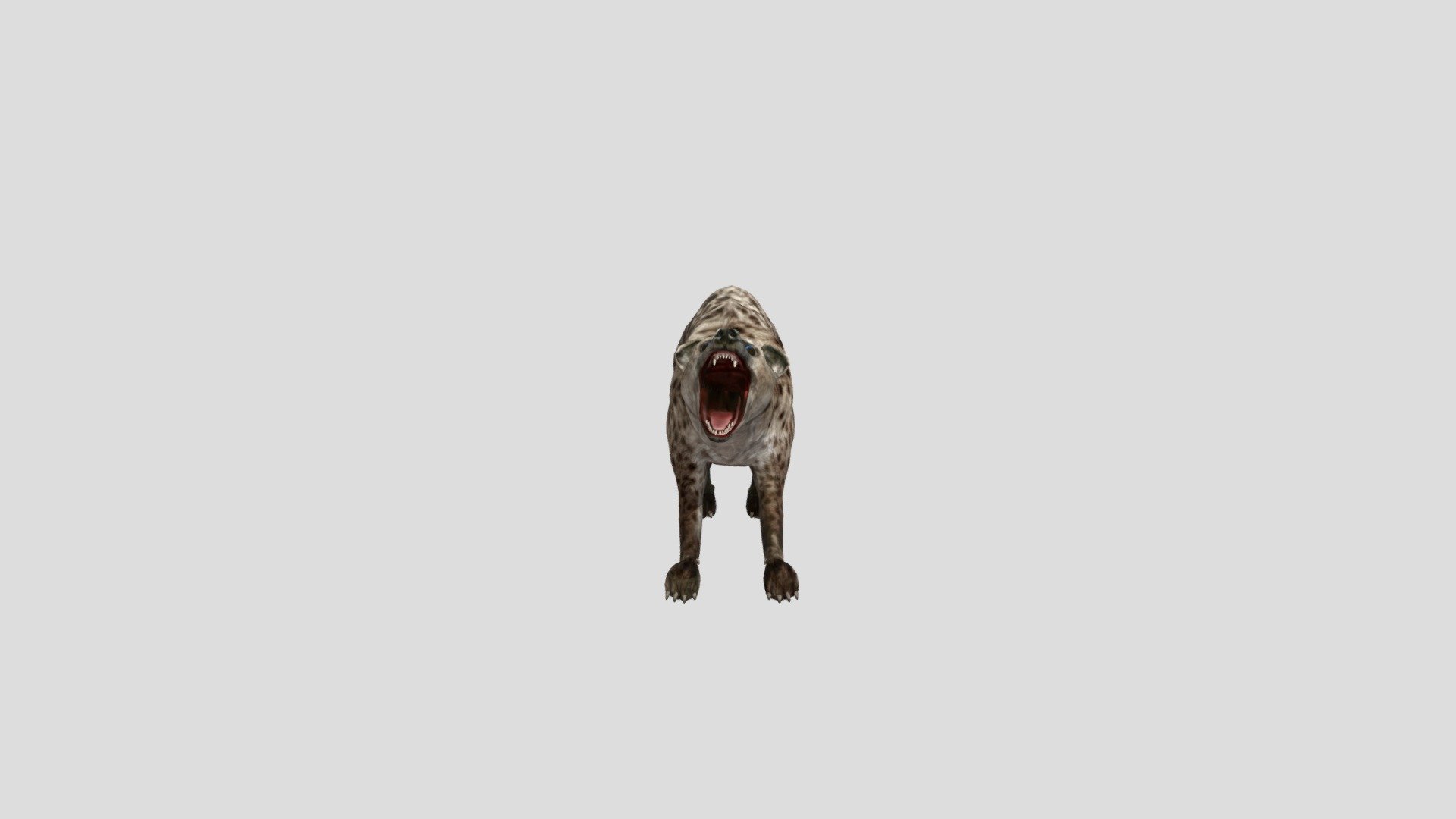 Hyena-test+motions - Download Free 3D model by Kapi777 3d model