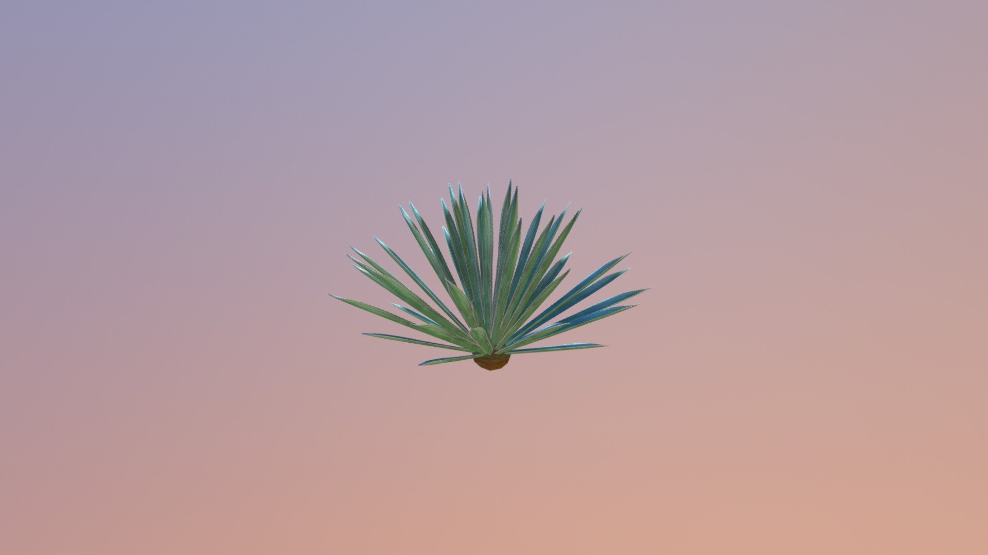 Agave Azul is the main plant used to make Tequila.  I made this using 3ds Max.  Textures were made using GIMP, reconstructed from real photos.  The foliage uses alpha mapping.  This object will be available in my upcoming Arma 3 terrain 3d model