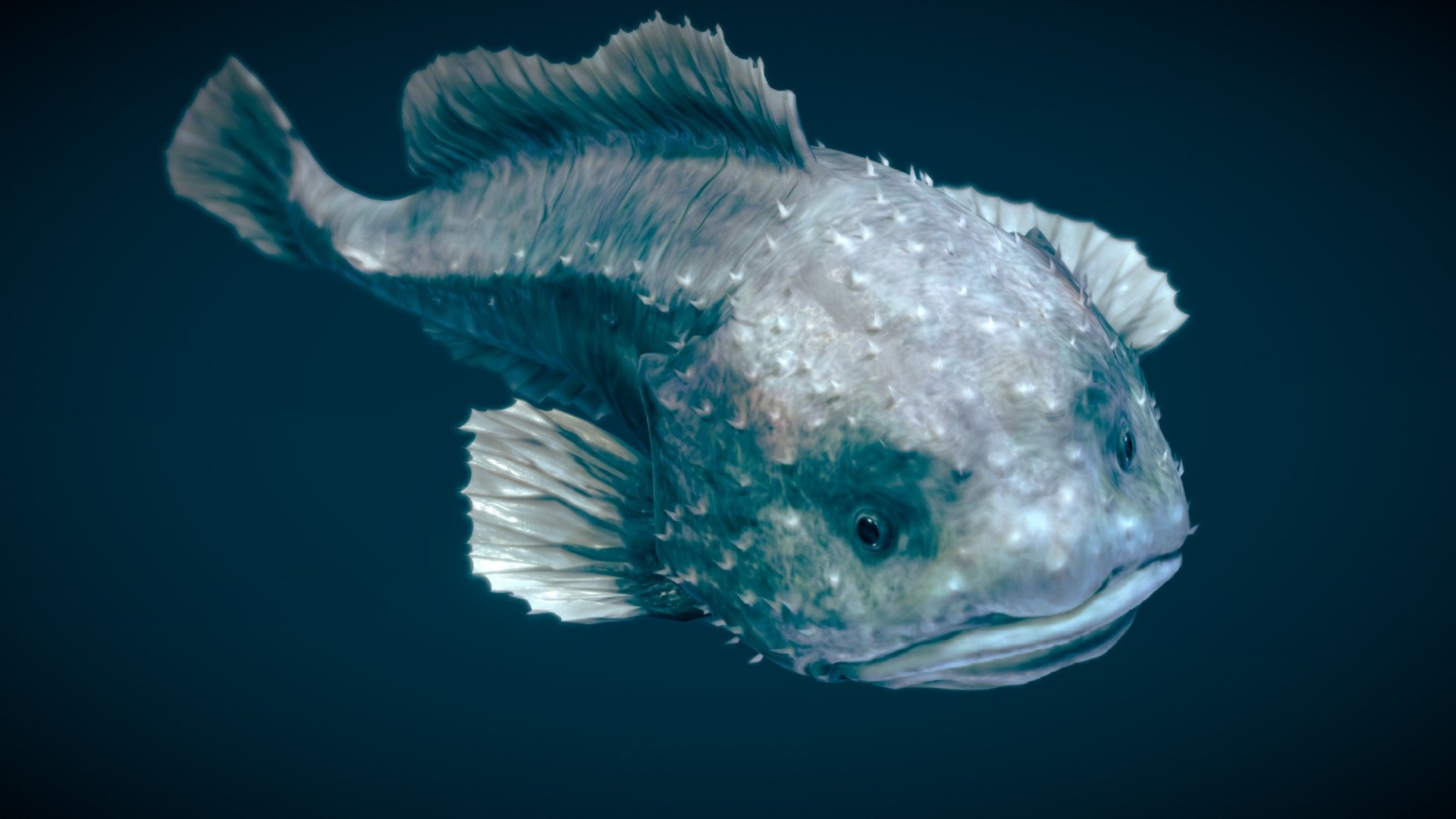 This model can import to Blender. **
Before purchasing this model, you can download Sea Slug — Chromodoris Annae and try to import it.
Because for different software, rigging and animation may have different problems.** - Smooth-head Blobfish - Buy Royalty Free 3D model by NestaEric 3d model