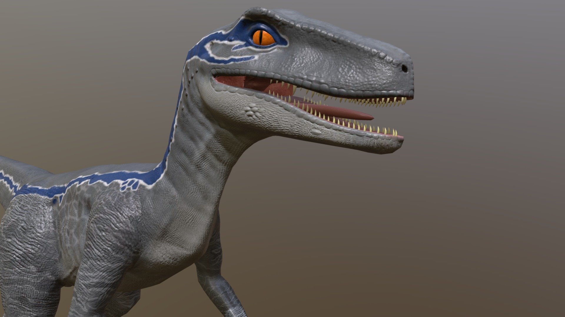Modelo realizado en el master de modelado de Animum,

3DS Max, Zbrush, Substance painter,

2K Textures,

My own version of Blue from jutassic world - Jurassic World Blue Velociraptor - 3D model by edujte 3d model