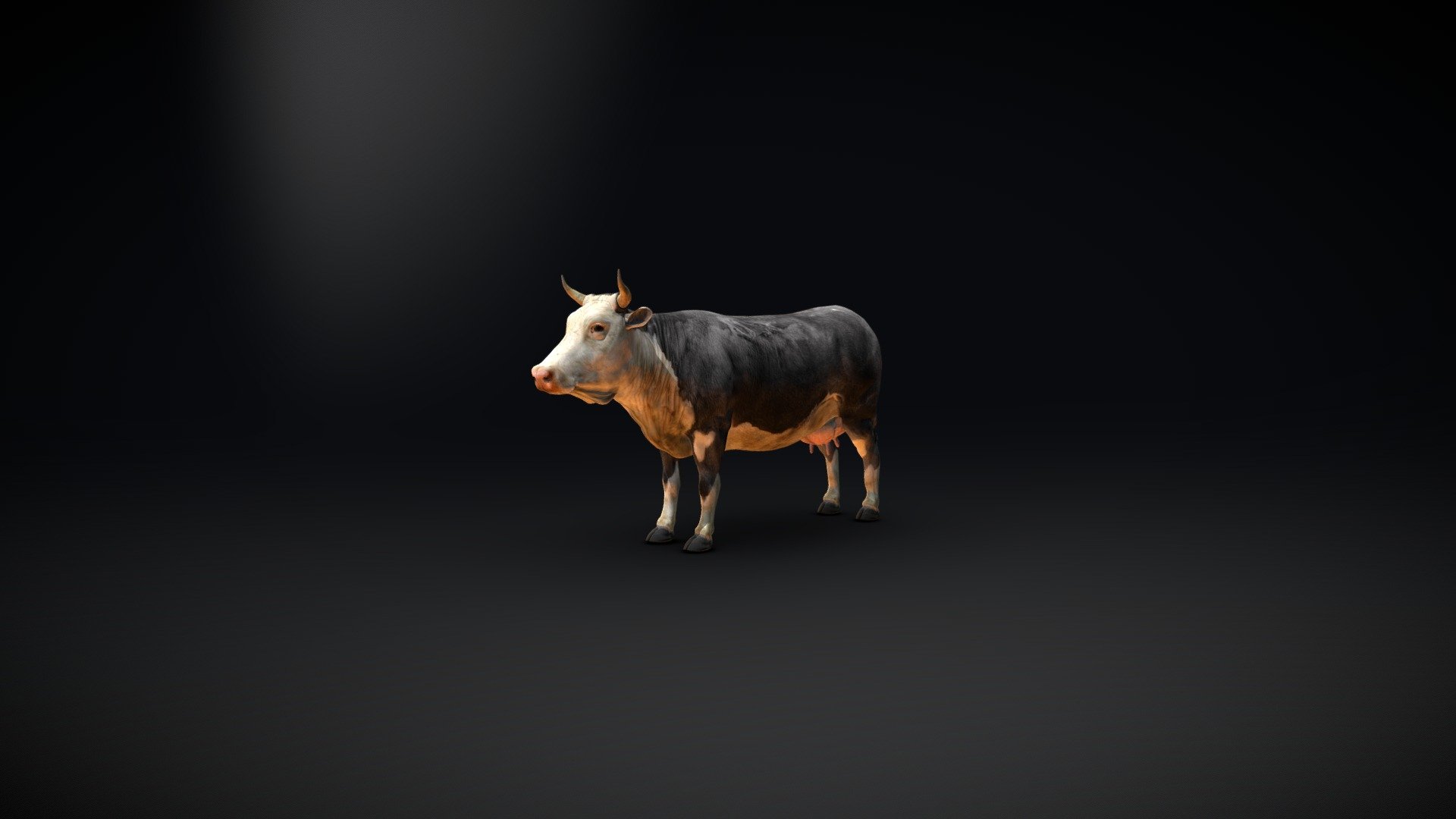 Cow_Realistic


 - Cow Skin - Download Free 3D model by GSCreations (@gscreations2508) 3d model